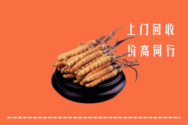 高价求购：濂溪区回收散虫草
