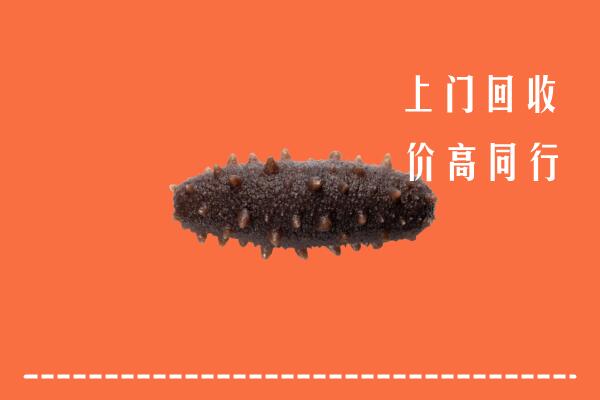 高价求购：濂溪区回收海参