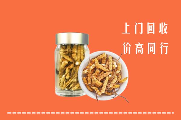 濂溪区回收冬虫夏草
